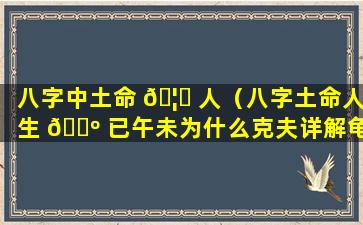 八字中土命 🦈 人（八字土命人生 🐺 已午未为什么克夫详解龟儿子说假话）